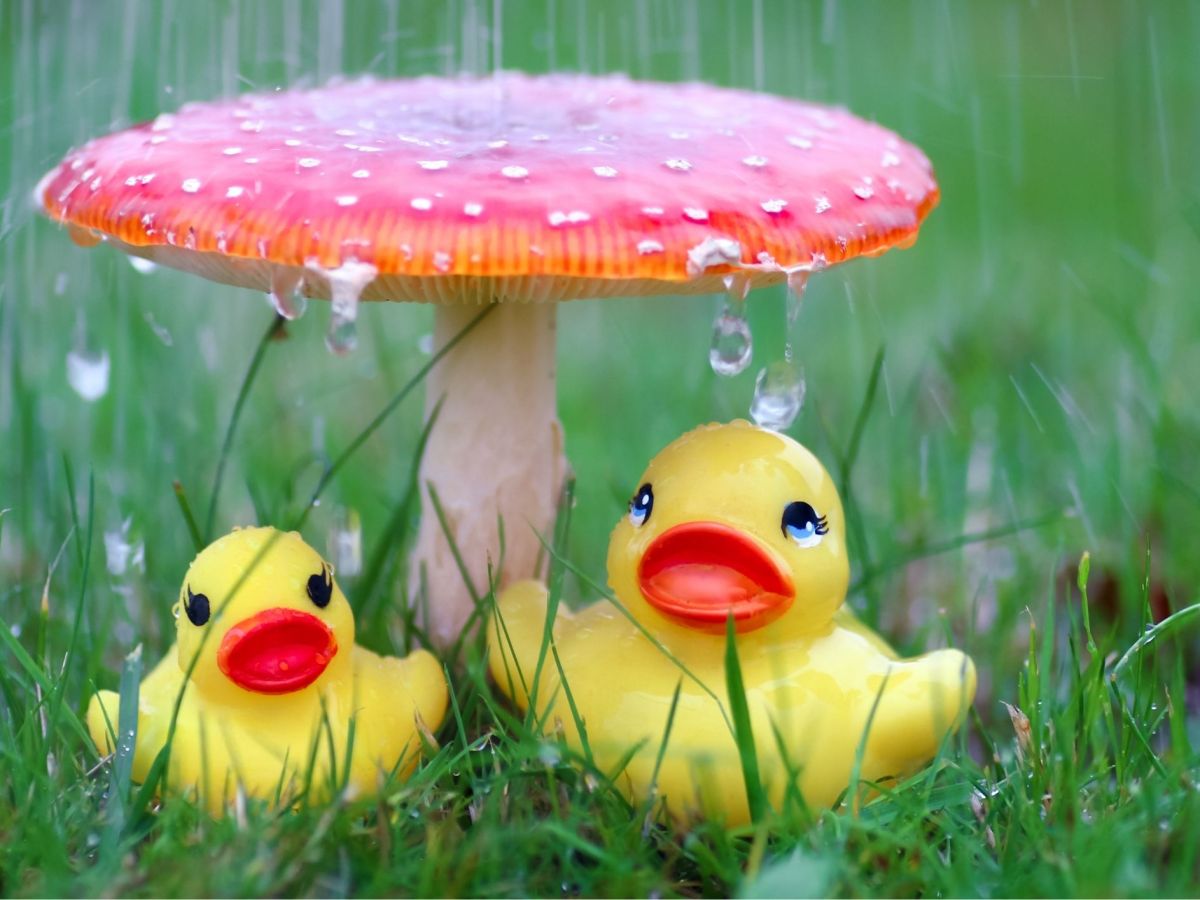 It’s Raining, It’s&nbsp;Pouring…