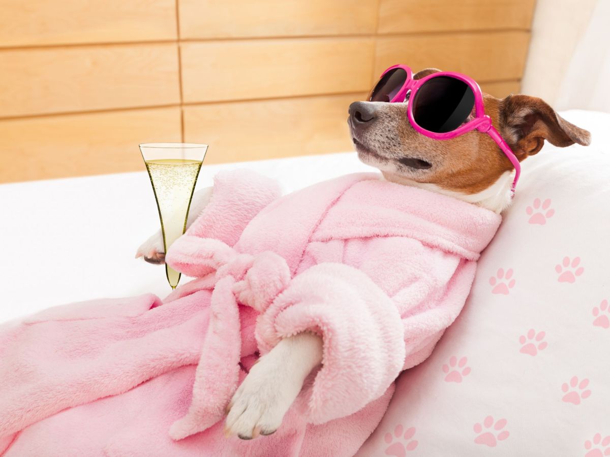 Take It Easy&nbsp;…