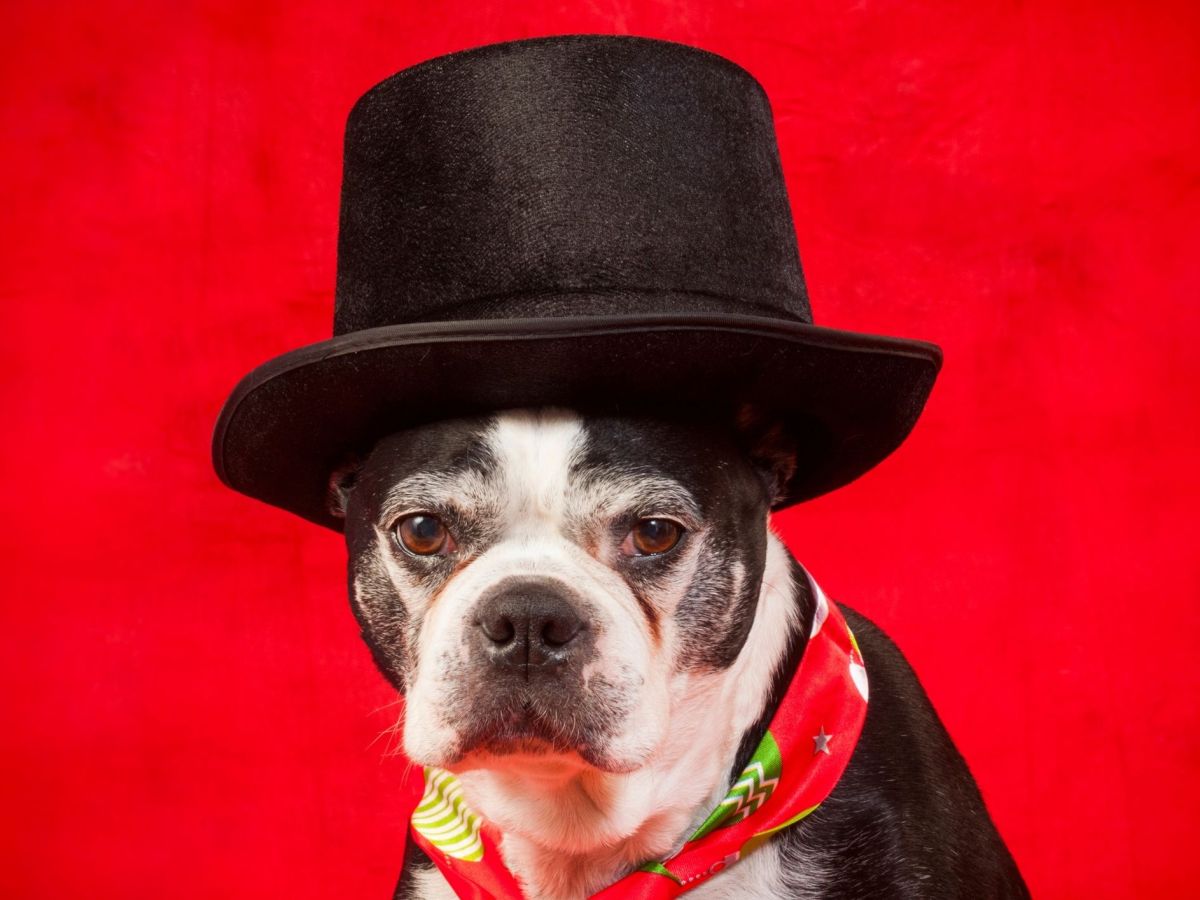 Masters of Disguise…