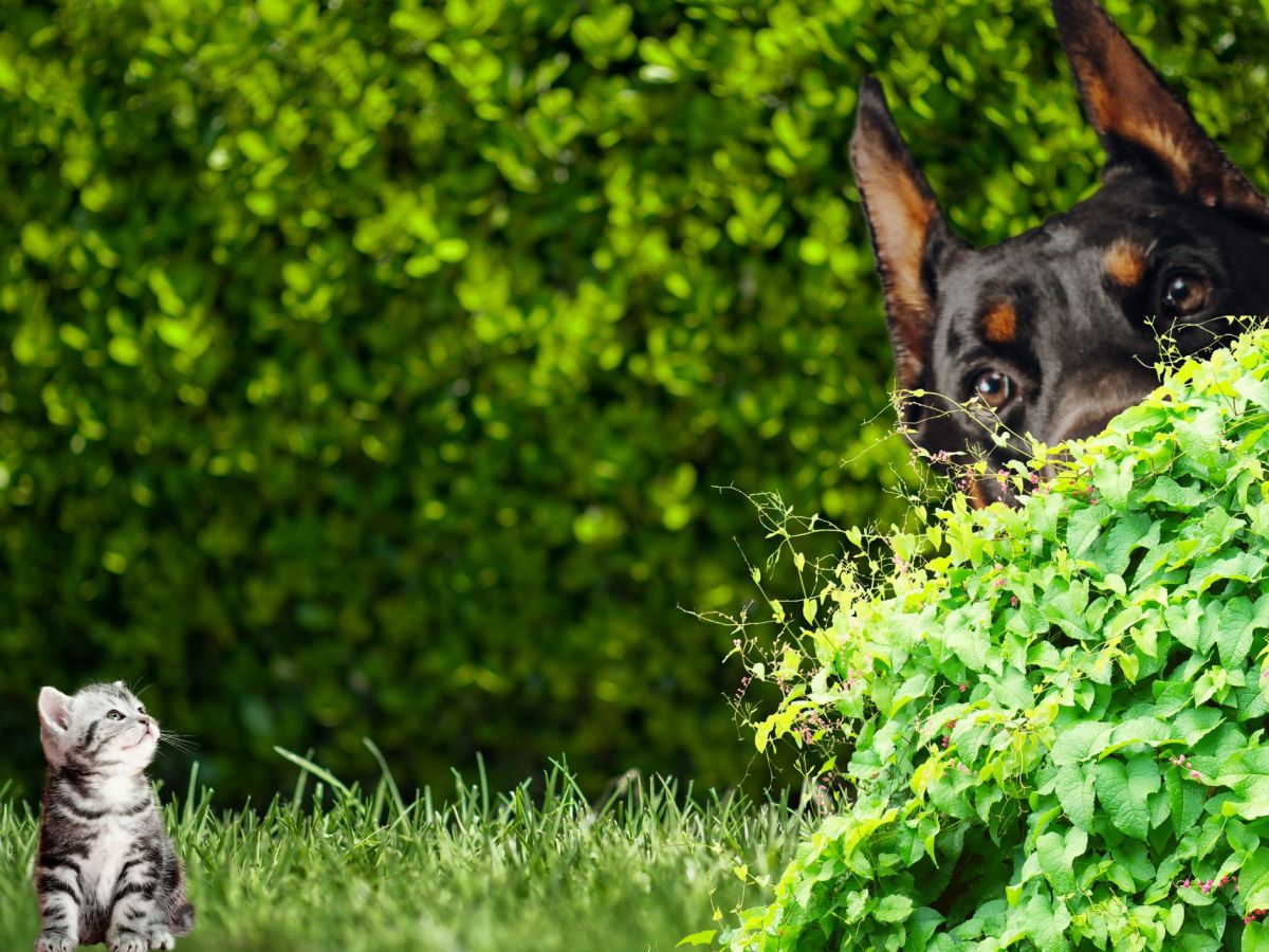 You Don’t Scare&nbsp;Me!