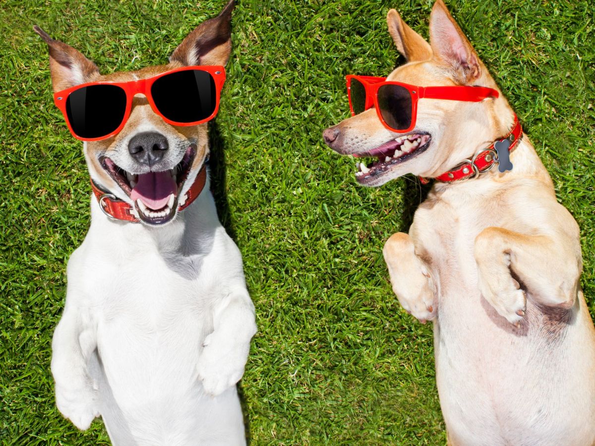 You Got a&nbsp;Friend…