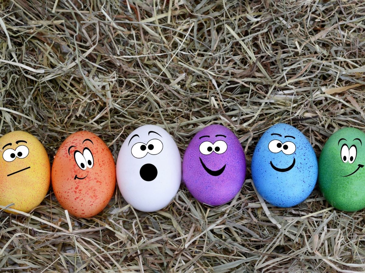 Eggstremely Interesting!